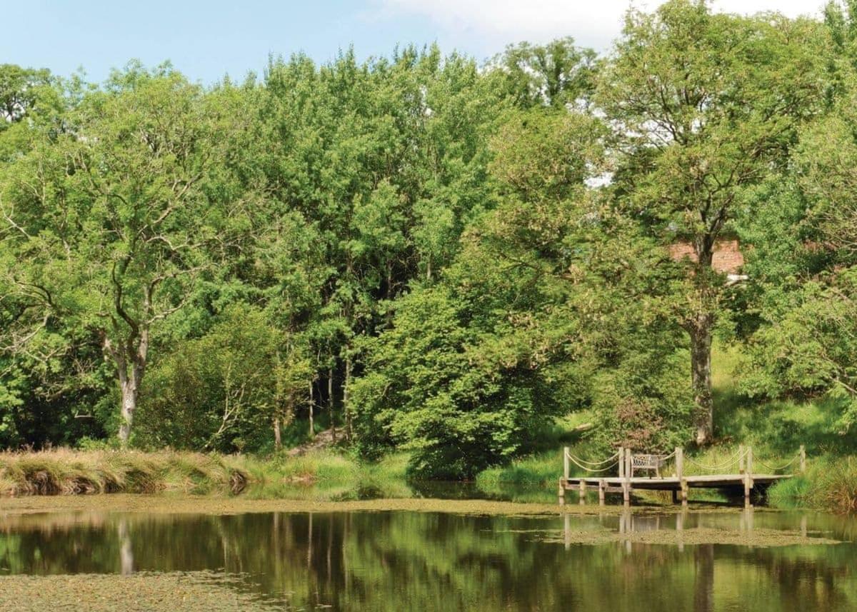 Mill Meadow Lodges Llanbister Exterior photo